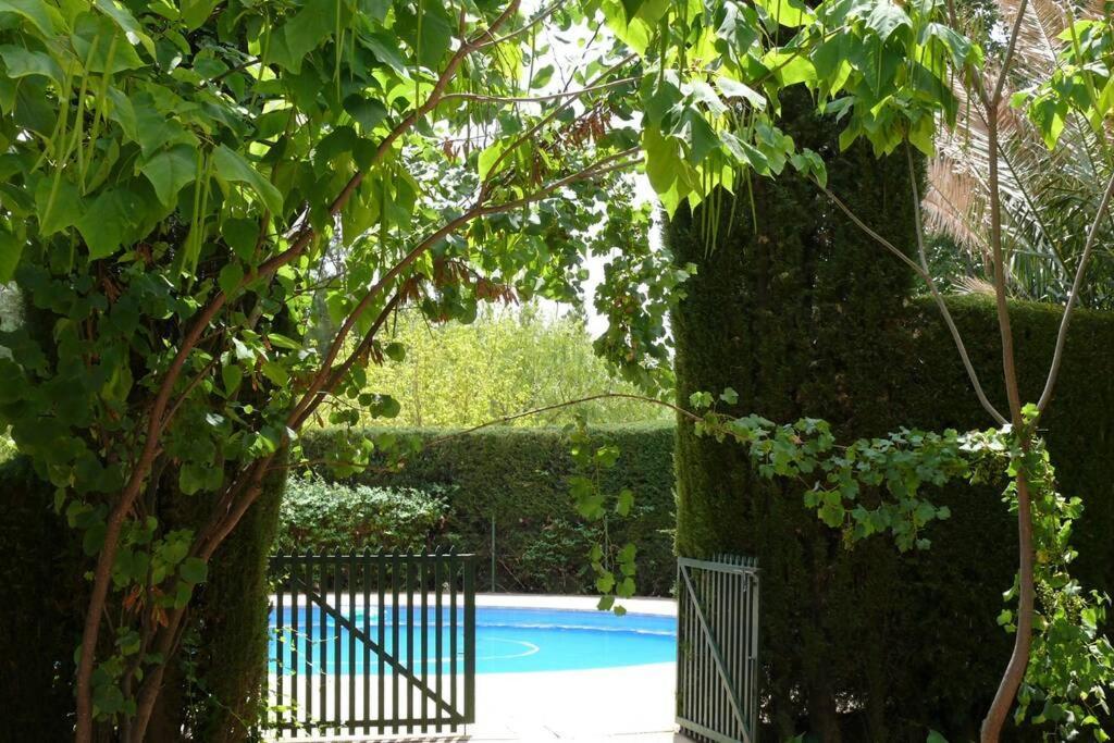 Casa En El Campo Con Encanto Almansa Exterior photo